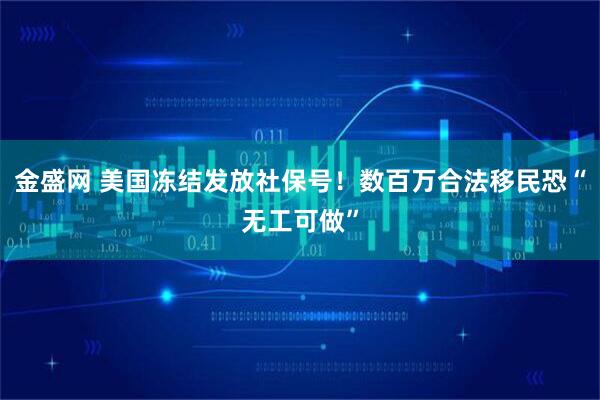 金盛网 美国冻结发放社保号！数百万合法移民恐“无工可做”