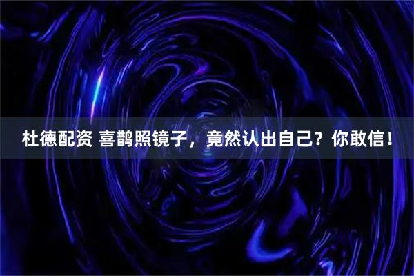 杜德配资 喜鹊照镜子，竟然认出自己？你敢信！