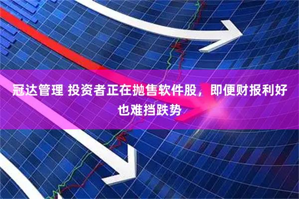 冠达管理 投资者正在抛售软件股，即便财报利好也难挡跌势